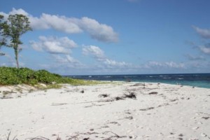 plage-bird-island-seychelles