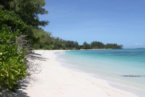 Vacances au Seychelles sur l'île privée de Denis